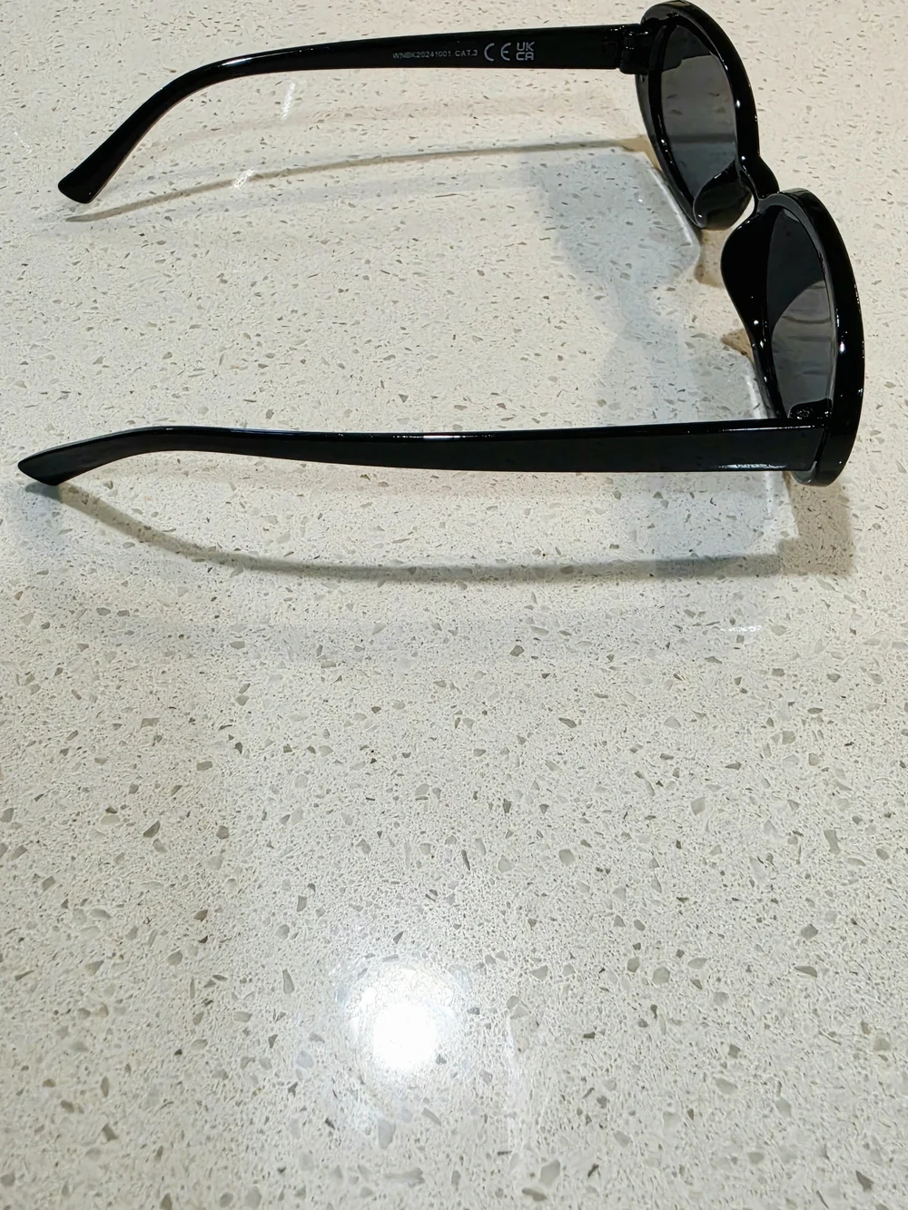 Classic Black Oval Sunglasses for Women